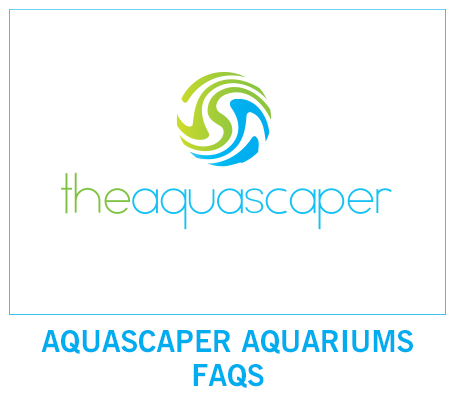 FAQS Aquascaper