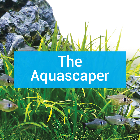 The Aquascaper