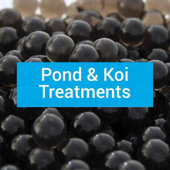 Pond and Koi Treatments