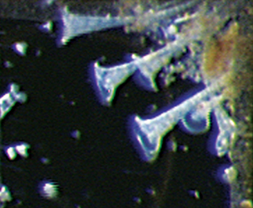 KPlus-Media-2-366x300