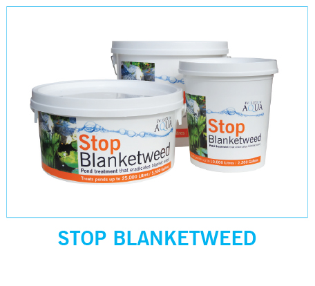 Stop Blanketweed