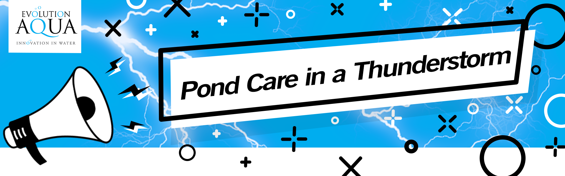 Pond Care in a Thunderstorm