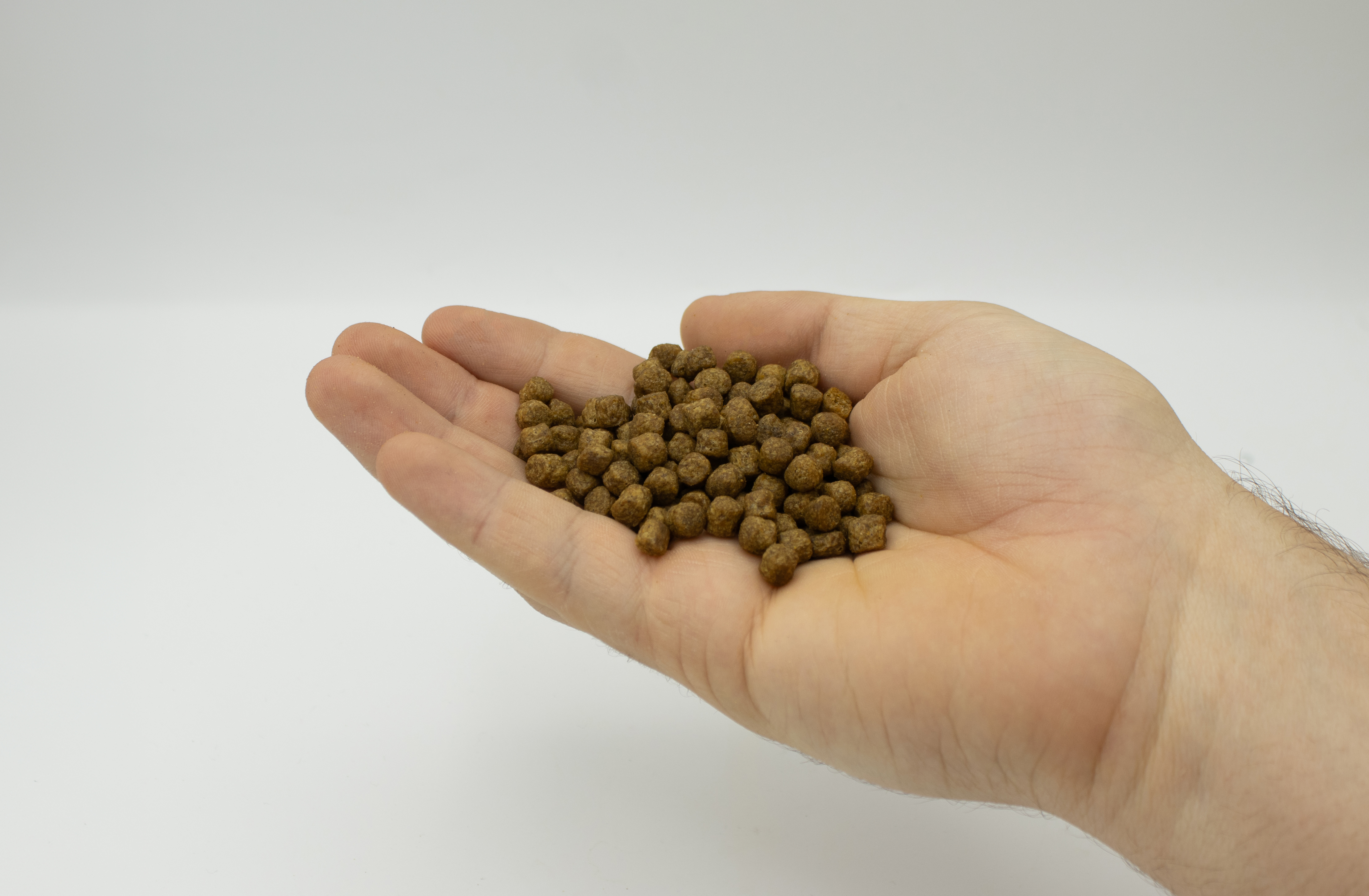 Easy To Feed Your Fish
