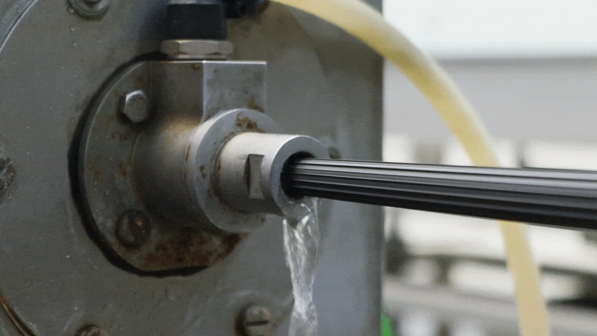 K_Sinking_GIF_-_Line1_Compressed