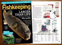 PFK Magazine - OCTO Regal Skimmer - Article