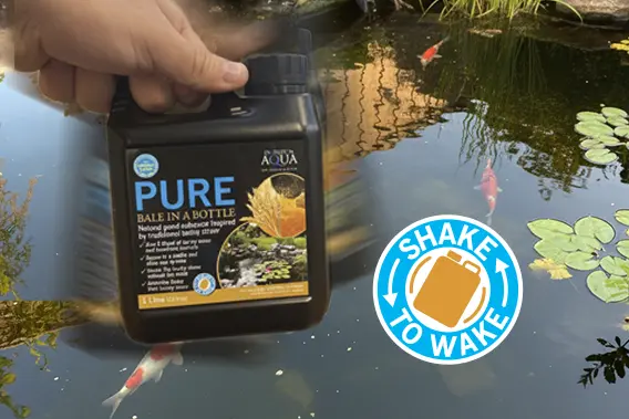 Shake Icon – Activation of Pond Treatment