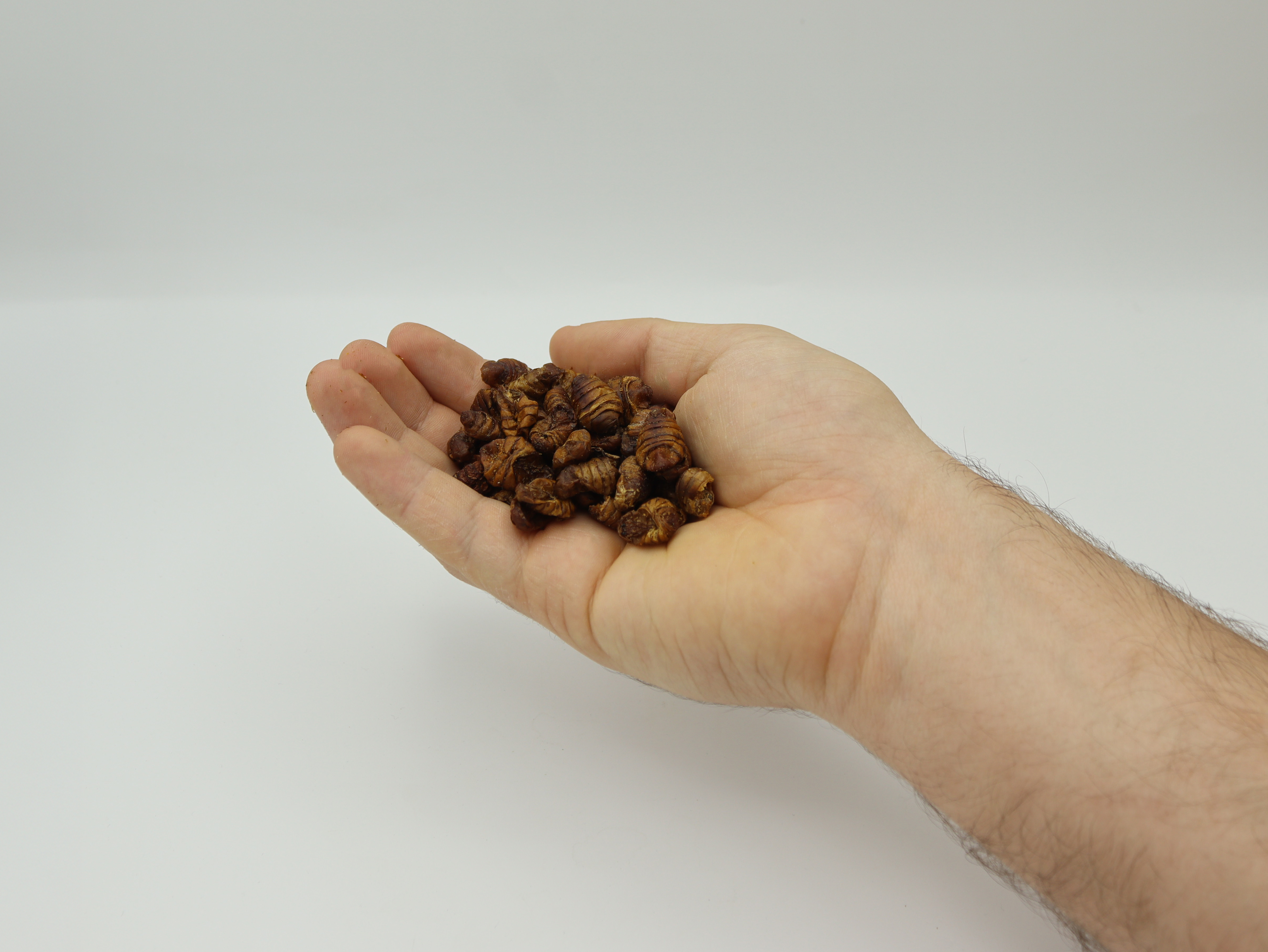 Easy To Feed Your Fish