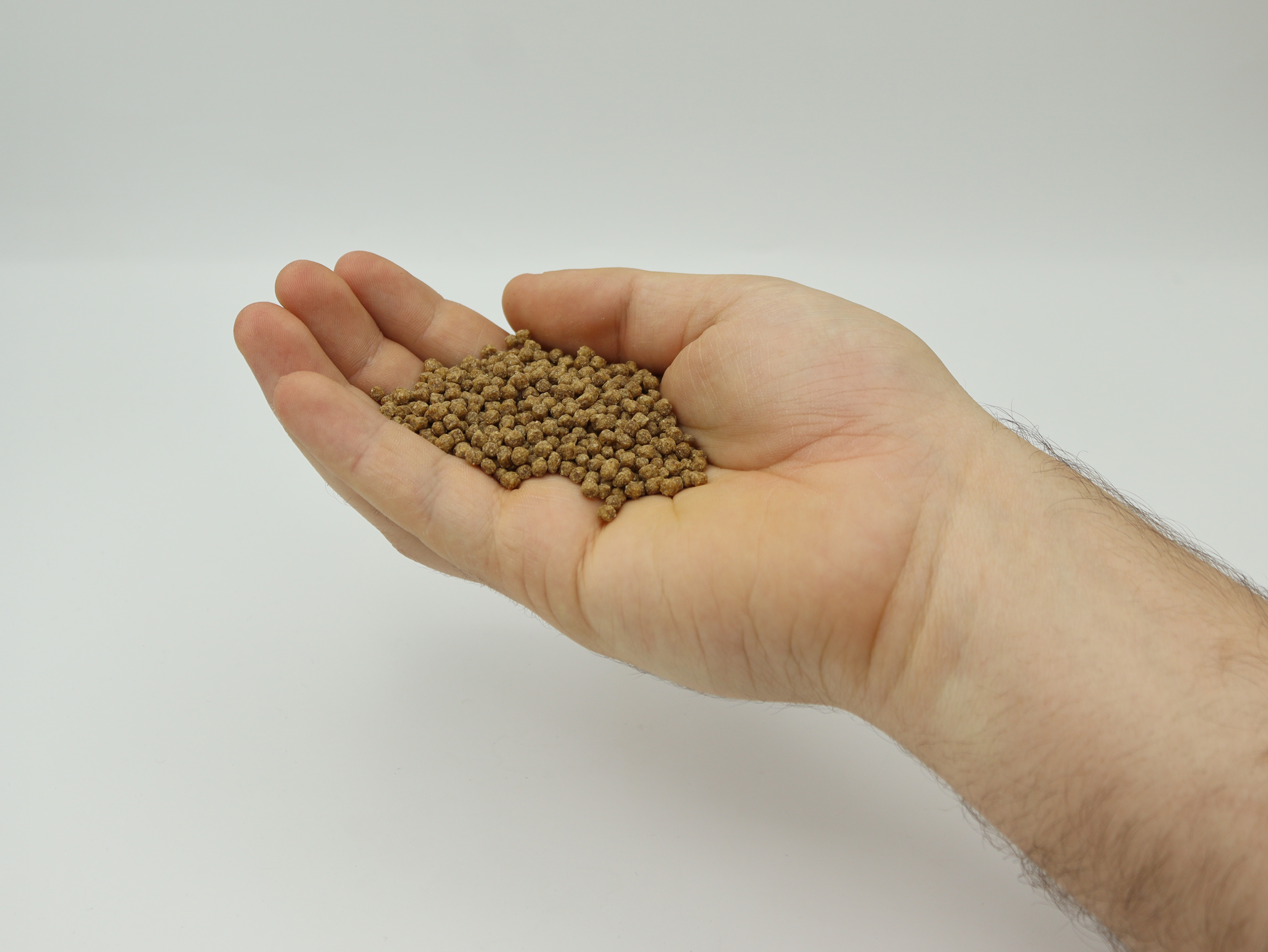 Easy To Feed Your Fish