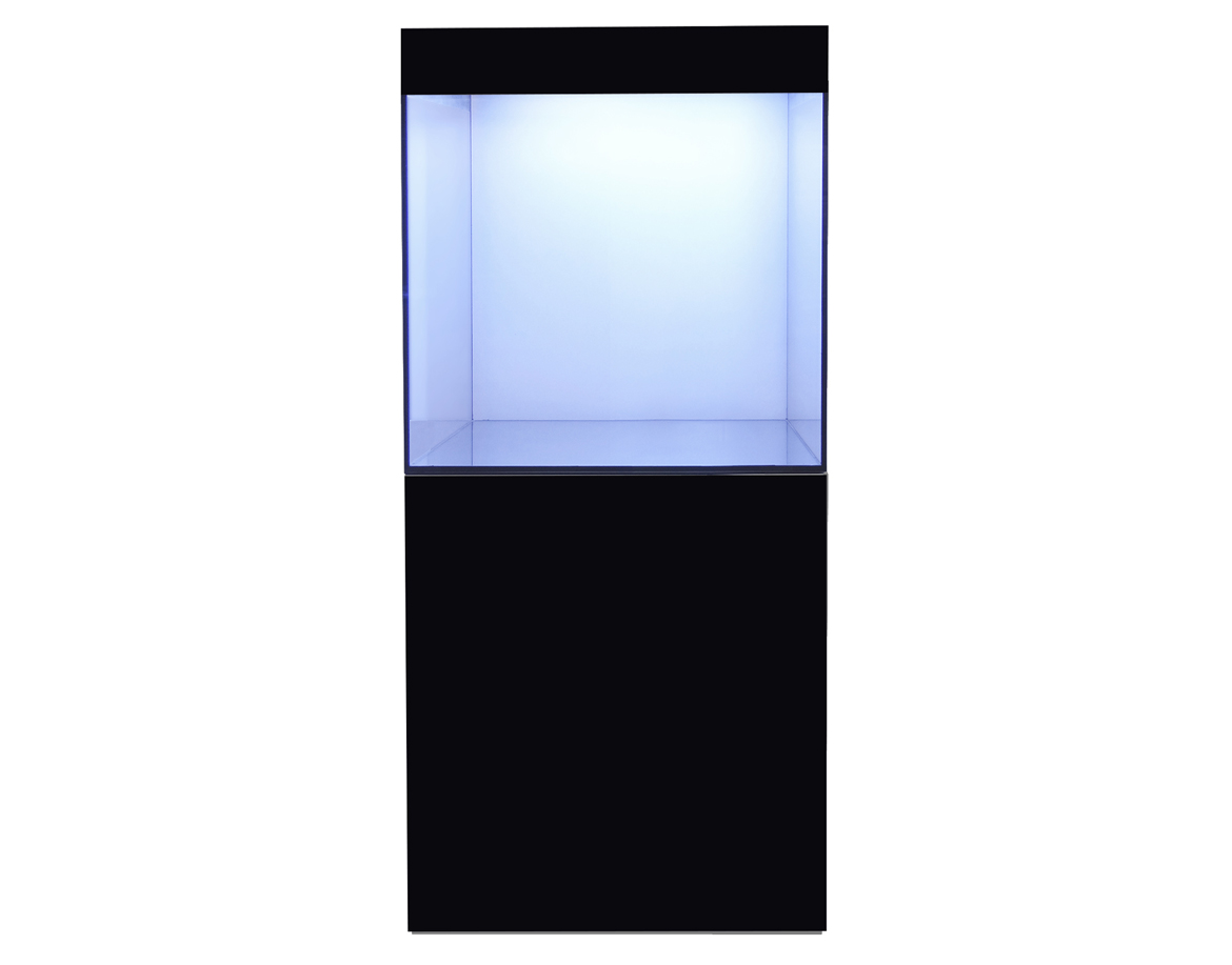 eaFreshwater Cube
