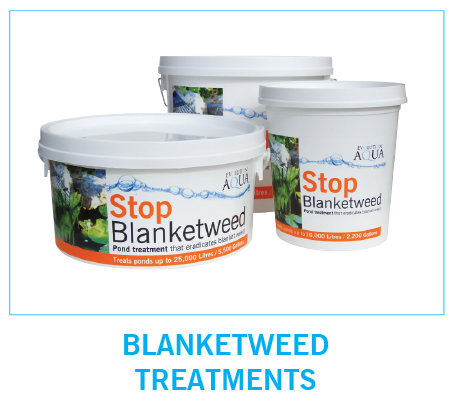 EA Blanketweed