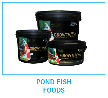 Pond Food