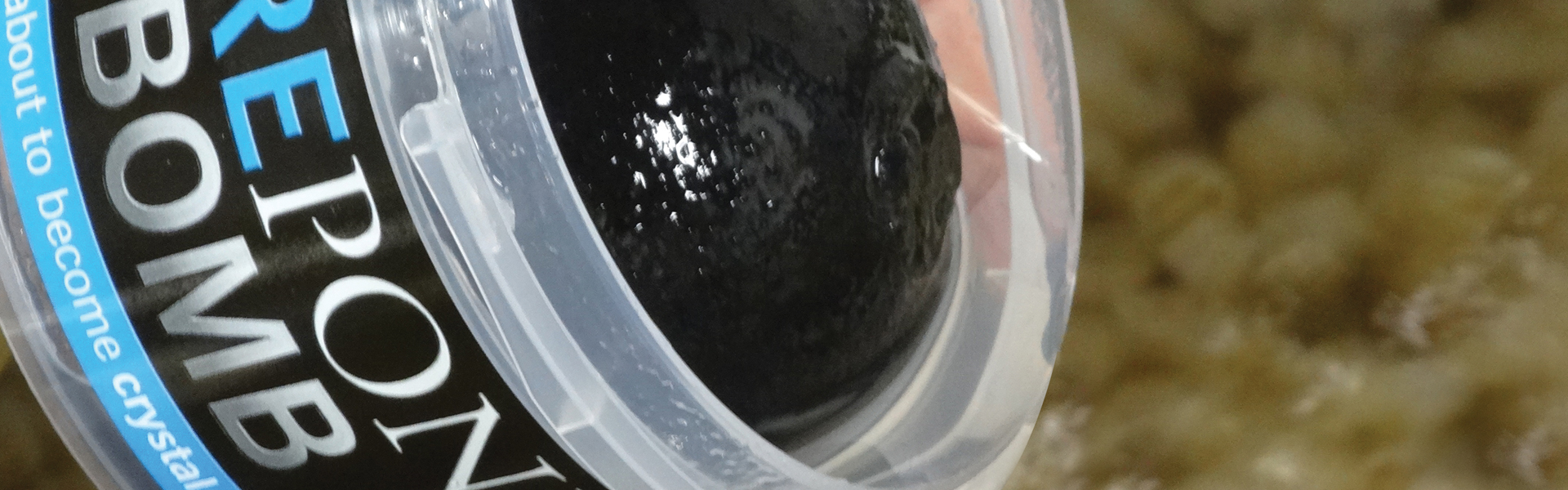 Pond Bomb